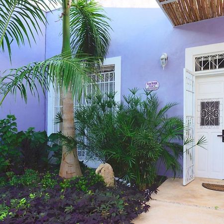 فيلا Casa Violeta ميريدا المظهر الخارجي الصورة
