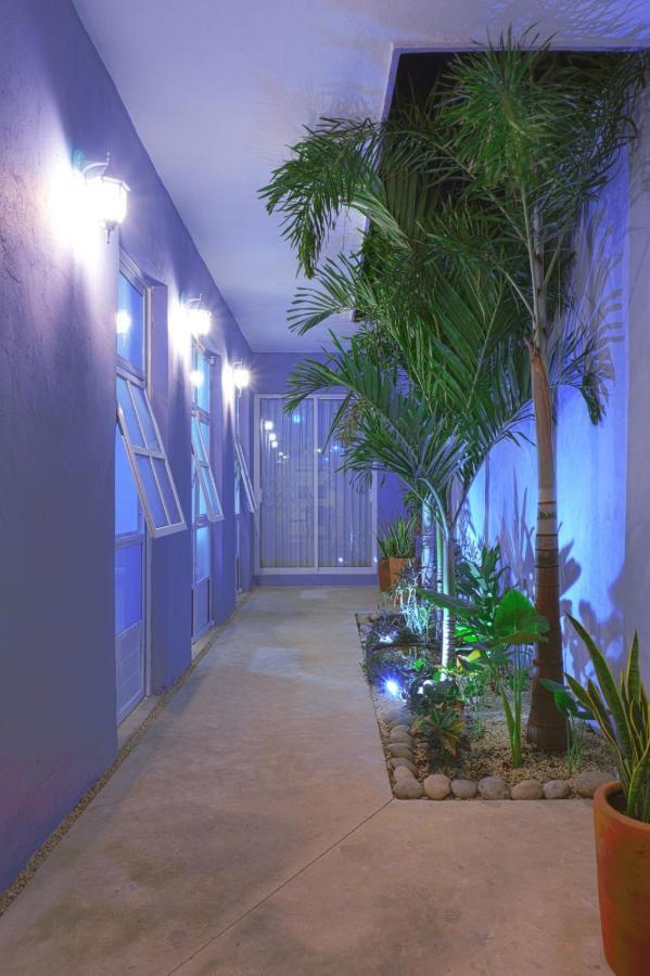 فيلا Casa Violeta ميريدا المظهر الخارجي الصورة